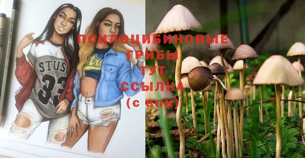 сатива Абдулино