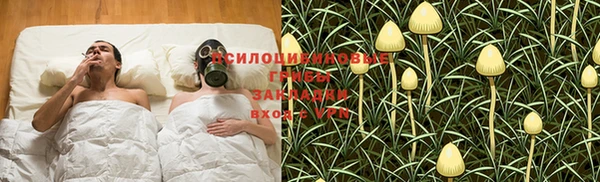 дурь Абинск